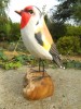 Wooden Painted Bird -  Goldfinch