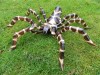 Hand Carved Wooden Spiders - 40cm, 60cm, Pair