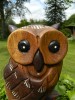 Wooden Owl Carving - Hand-made Owl on Perch - 18cm/7''