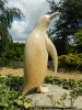 Wooden Penguin Carving - Carved Penguin 30cm