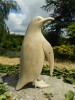 Wooden Penguin Carving - Carved Penguin 20cm - Baby Penguin