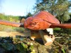 Wooden Turtle Carving - Hand Carved Turtle 30cm