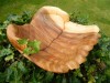 Wooden Hand Bowl - Begging Hands 20cm