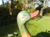 Wooden Duck Mallard Carving - Large Standing Duck