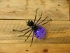 Hand Made - Metal Spiders