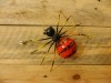 Hand Made - Metal Spiders