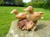 Hand Carved Ducks On Parasite Wood - Two Ducks