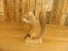 Wooden Squirrel Carving 30cm