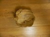 Wooden Turtle Bowl Carved Bowl 15cm