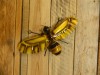 Metal Bee Wall Art Garden Ornament - Small & Large Bee