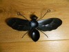 Metal Bee Wall Art Garden Ornament - Small & Large Bee