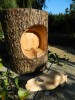 Wooden Owl Carving - Hand Carved Horned Owl Perched on Half Log