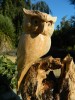 Wooden Owl Carving - Horned Owl on Root Wood