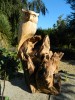 Wooden Owl Carving - Horned Owl on Root Wood