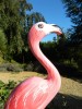 Wooden Painted Bird - Flamingo