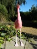 Wooden Painted Bird - Flamingo