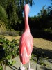 Wooden Painted Bird - Flamingo