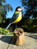 Wooden Painted Bird -  Great Tit