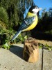 Wooden Painted Bird -  Great Tit