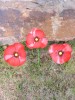 Metal Red Poppy - Three Flowers