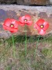 Metal Red Poppy - Three Flowers