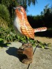 Wooden Painted Bird - Wren