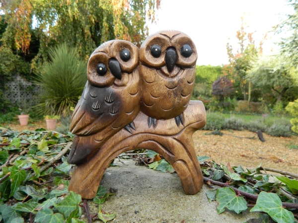 Two Owls on Perch - Loving Owls