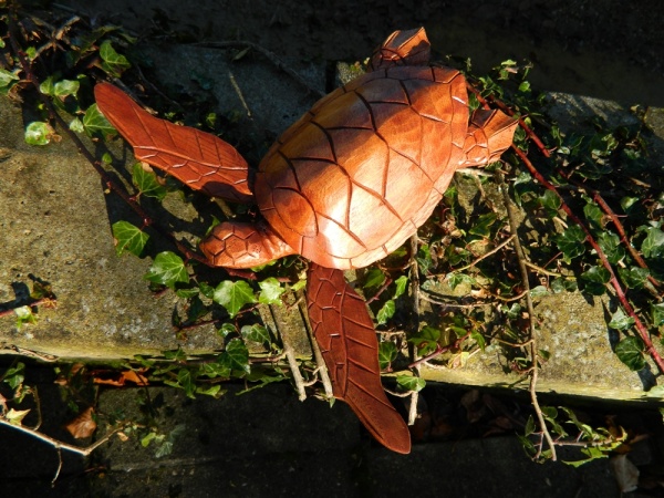 Hand Carving Wooden Turtle on Parasite Wood 20cm