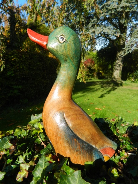 Wooden Duck Mallard Carving - Large Standing Duck